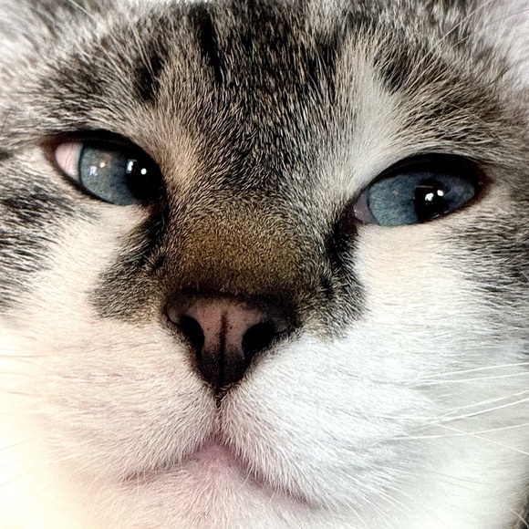 Meet your Posher, Andrea - Picture 2 of 2